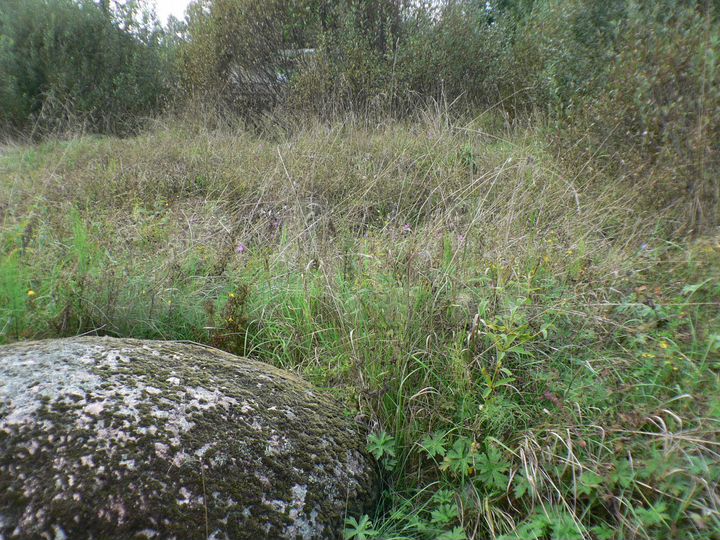 Участок 14 сот. (ИЖС)