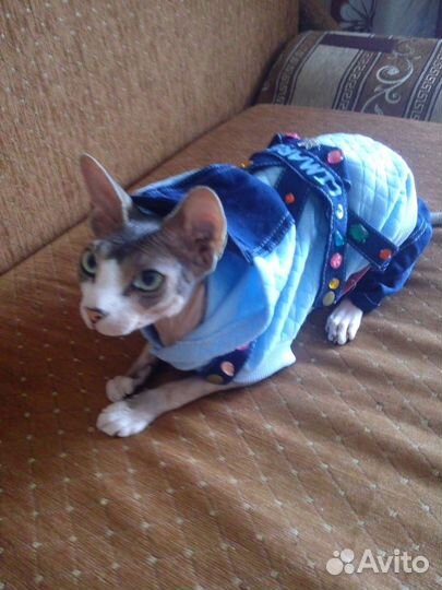 Новый Комбинезон доя собаки или кошки