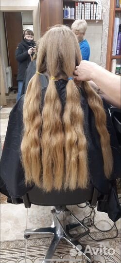 Скупка волос