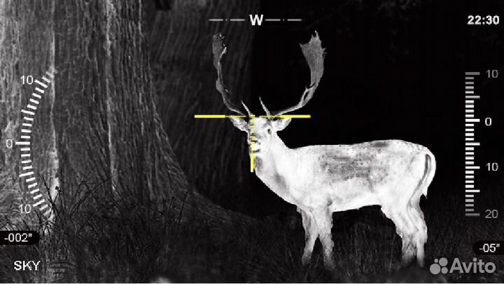 Цифровой прицел ночного видения