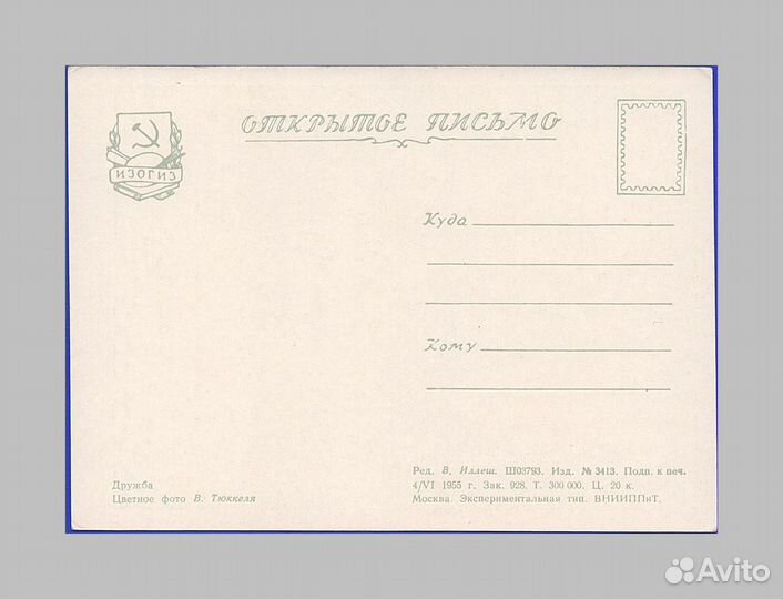 Дружба Тюккель Комаров Зарубин школа Арбеков