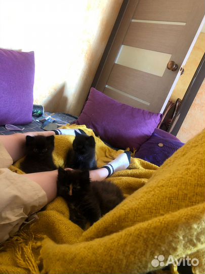 Обычные но добрые