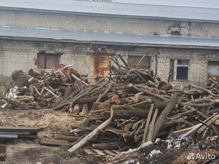 Дрова