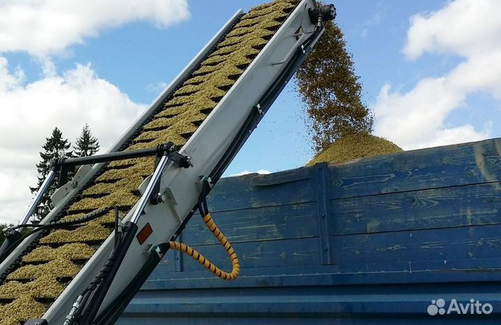 Погрузка зерновых в контейнеры,авто,вагоны насыпью