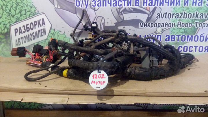 Проводка подкапотная Renault Sandero 1 Stepway 1.6