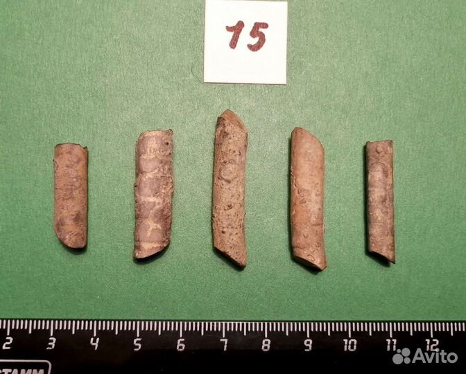 Палеонтология окаменелость Стебли морских лилий