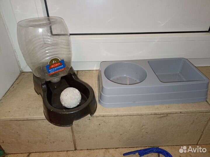 Шлейка, миски, варежка для вычесывания