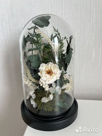 Сухоцветы. Букеты