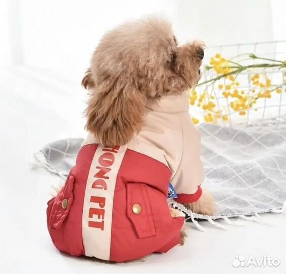 Комбинезон для собак