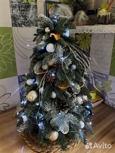 Елочка из нобилиса