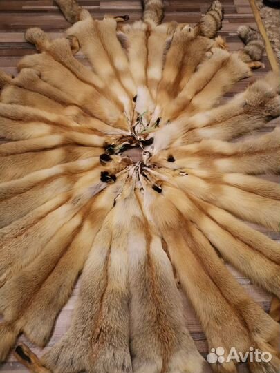 Шкуры лиса рыжая, мех лисица огневка