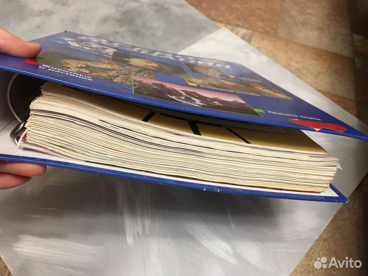 Журнал древо познания