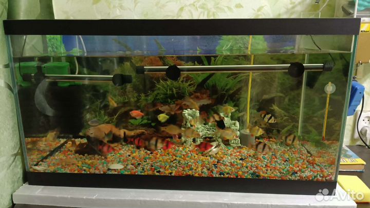 Аквариум