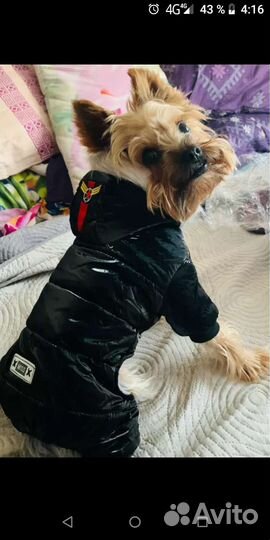 Лежанка,комбинезоны,сапожки,домик,носочки