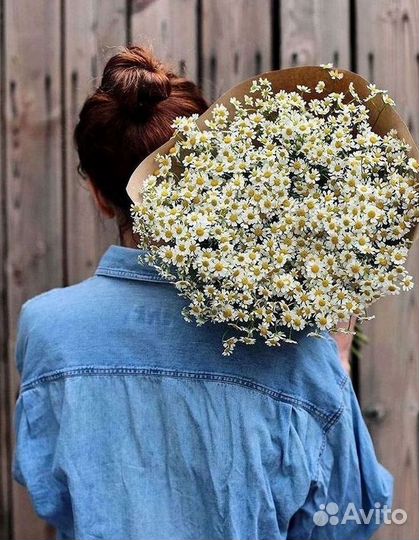 Цветы ромашки. Букеты ромашек. Цветы доставка