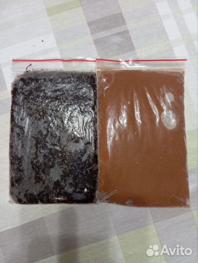 Науплии Артемии, мотыль замороженные