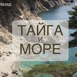 Тайга и море