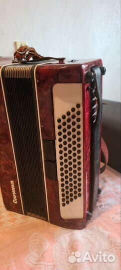 Аккордеон Сюита