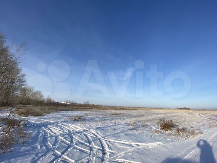 Участок 36,06 га (СНТ, ДНП)