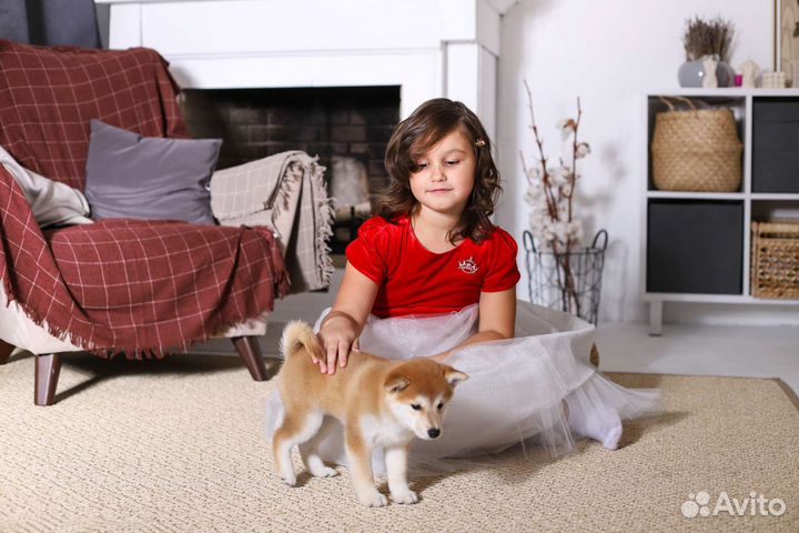 Платье для девочки на выпускной 140