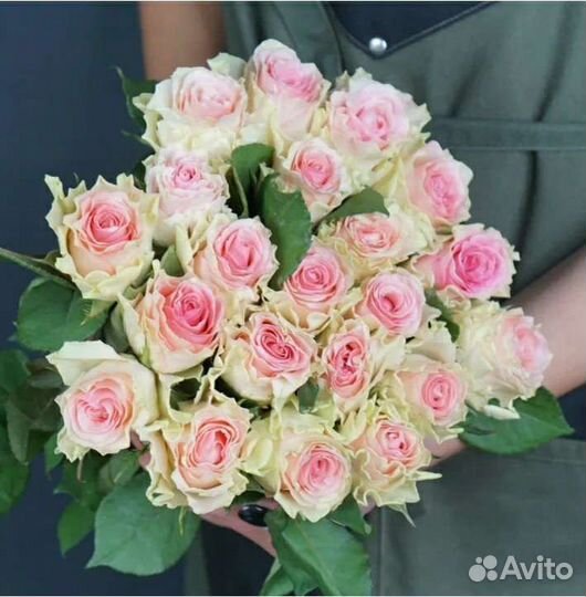 Роза срез Кения