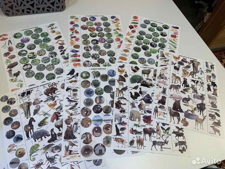 Электровикторина «Живая природа» 5+