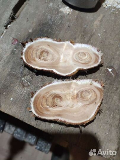 Спилы для декора