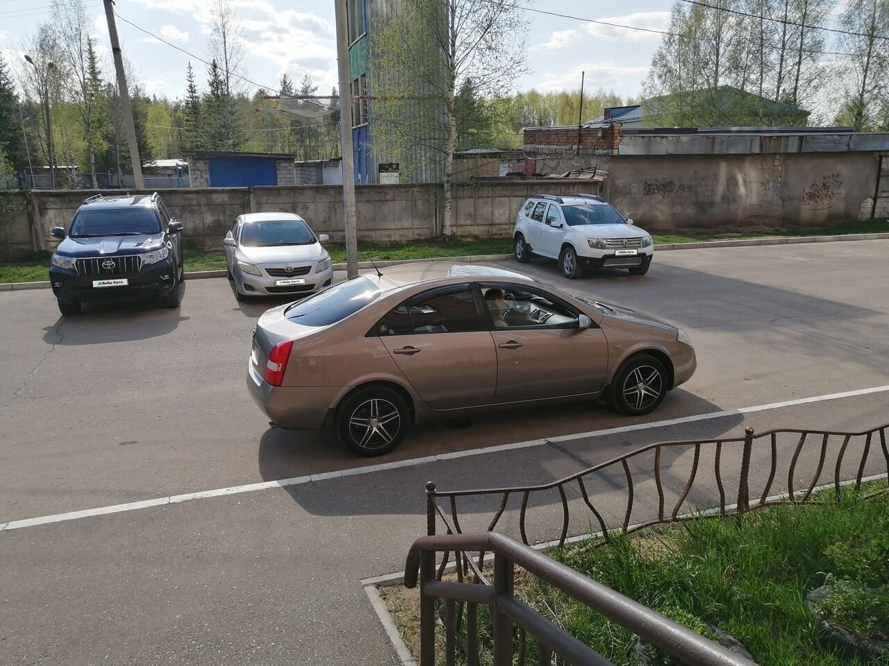 Nissan Primera: фото владельца