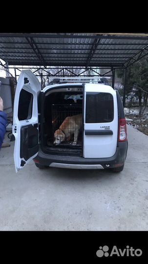 Гостиница для собак, передежка, перевозка