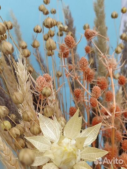 Сухоцветы Букет 