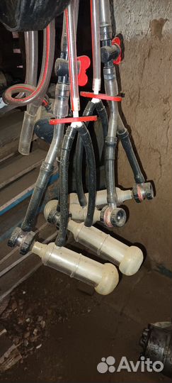 Доильный аппарат для коз