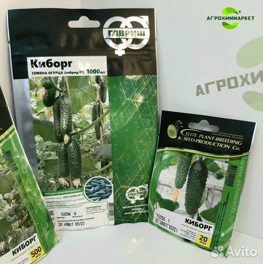 Огурцы Киборг