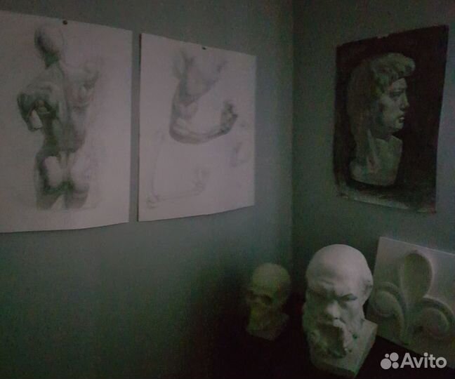 Академический и архитектурный рисунок. Анатомия