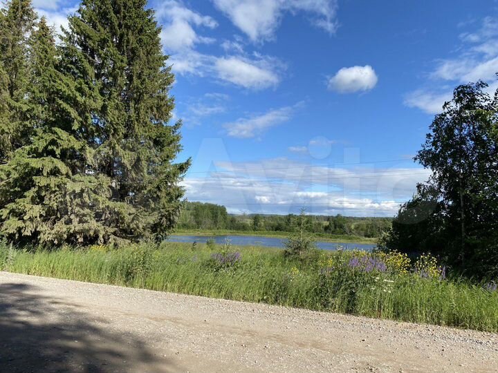 Участок 1,5 га (СНТ, ДНП)