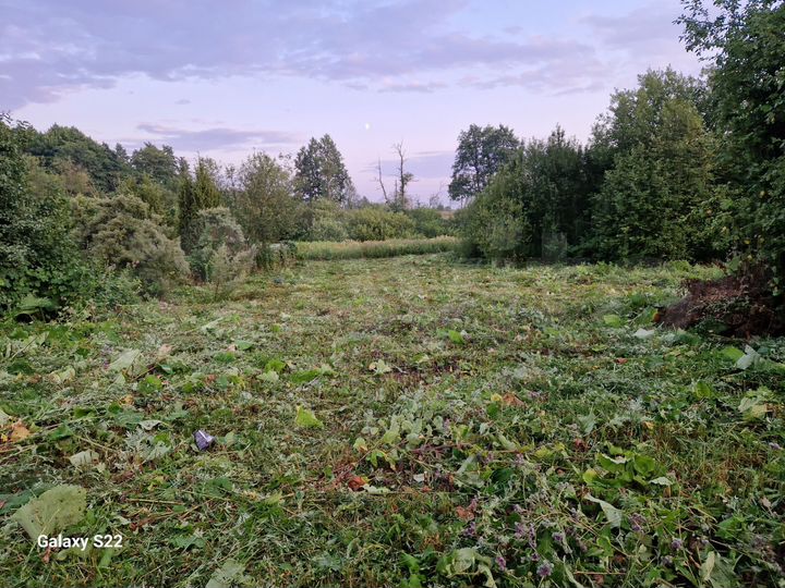 Участок 17,5 сот. (СНТ, ДНП)