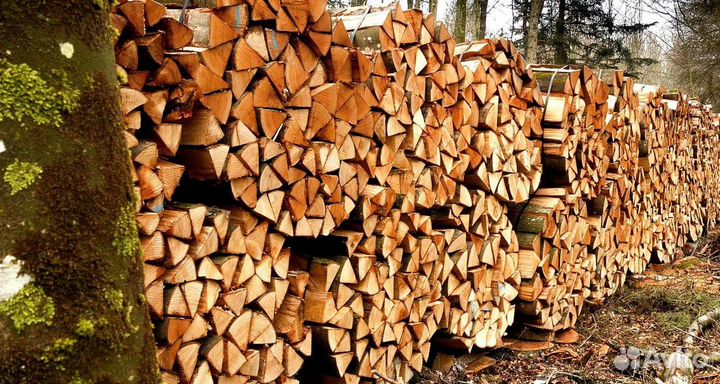 Дрова в сауну