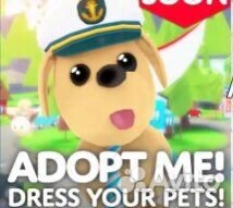 Петы в адопт ми на заказ