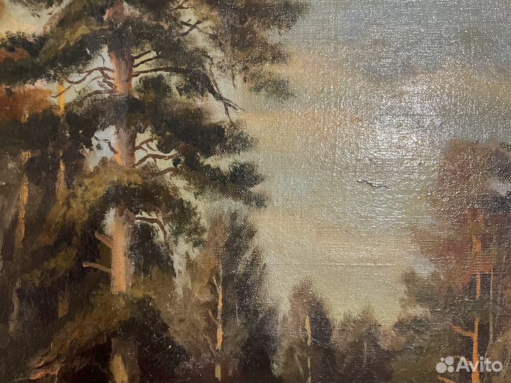 Репродукция Шишкина (холст,масло)