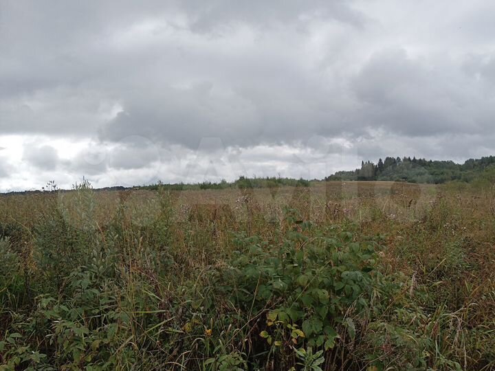 Участок 22,54 га (ИЖС)