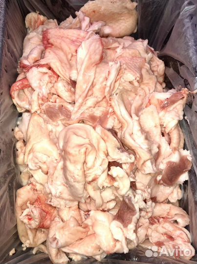 Индейка - Головы, Лапы