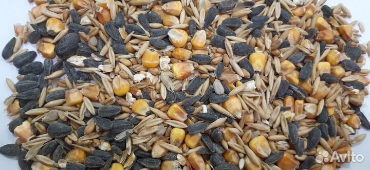 Зерносмесь на корм с/х животным и птице