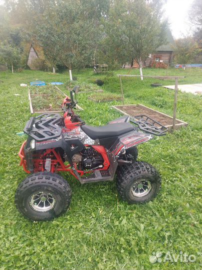 Детский квадроцикл Wels thunder evo x 125