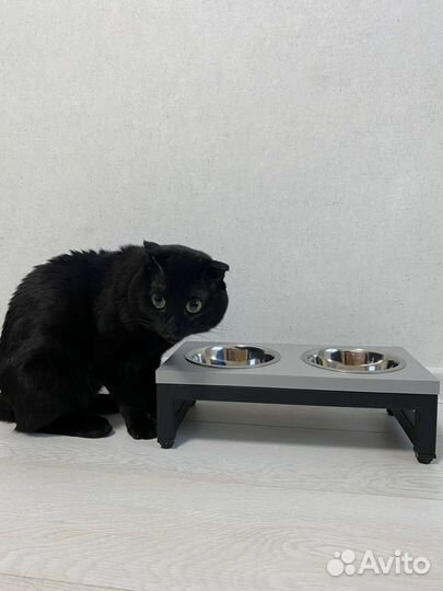 Миски для животных