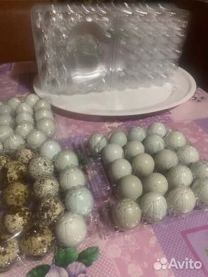 Лоток для перепелинных яиц (коррексы)