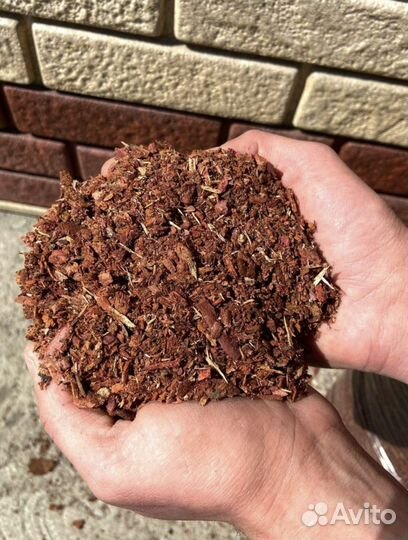 Кора лиственницы