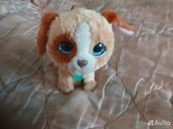 Мягкие игрушки собак