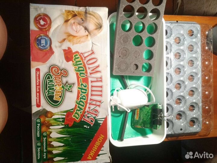 Домашняя чудо-грядка