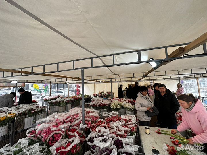 Тюльпаны весь март