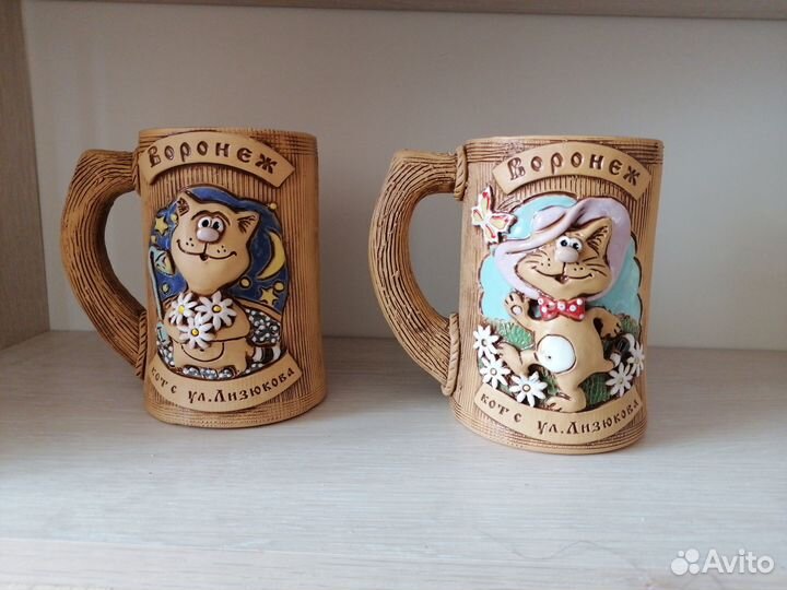 Воронеж кот с лизюкова