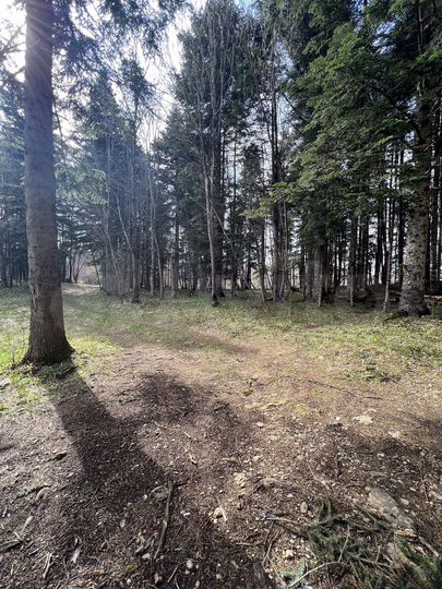 Участок 40 сот. (СНТ, ДНП)